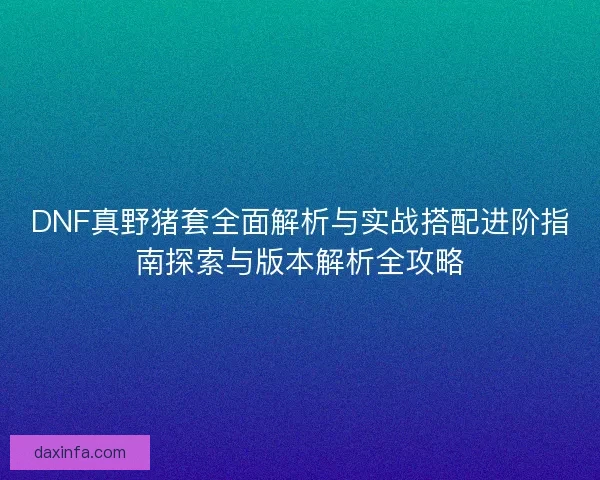 DNF真野猪套全面解析与实战搭配进阶指南探索与版本解析全攻略